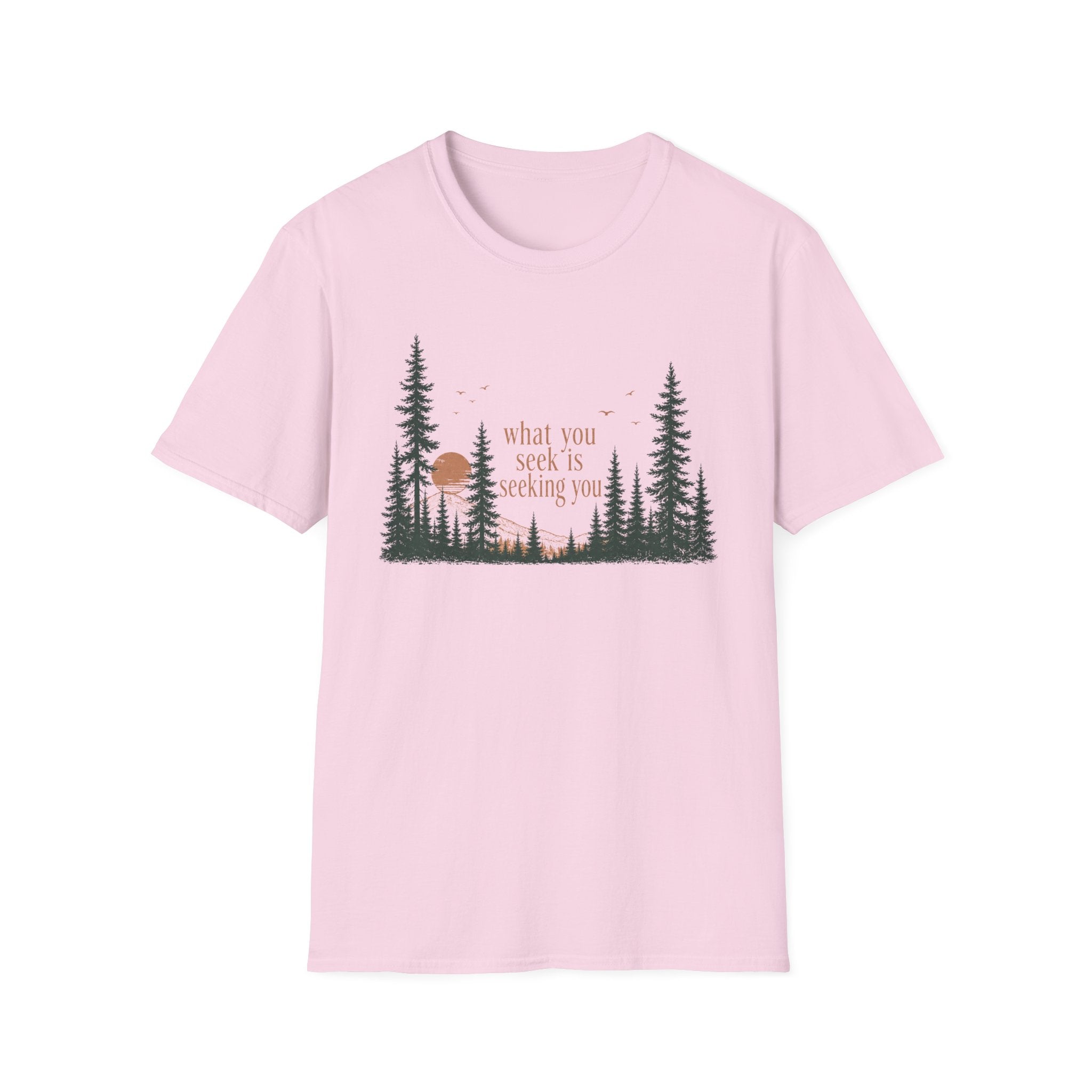 What You Seek Is Seeking You T-Shirt