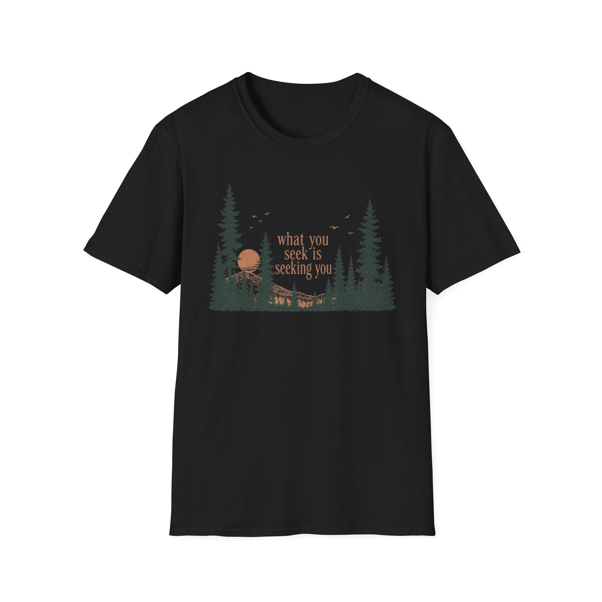 What You Seek Is Seeking You T-Shirt
